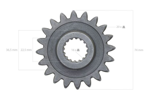 Pinon 20TX16T