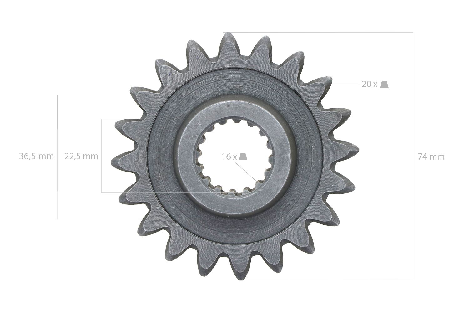Pinon 20TX16T