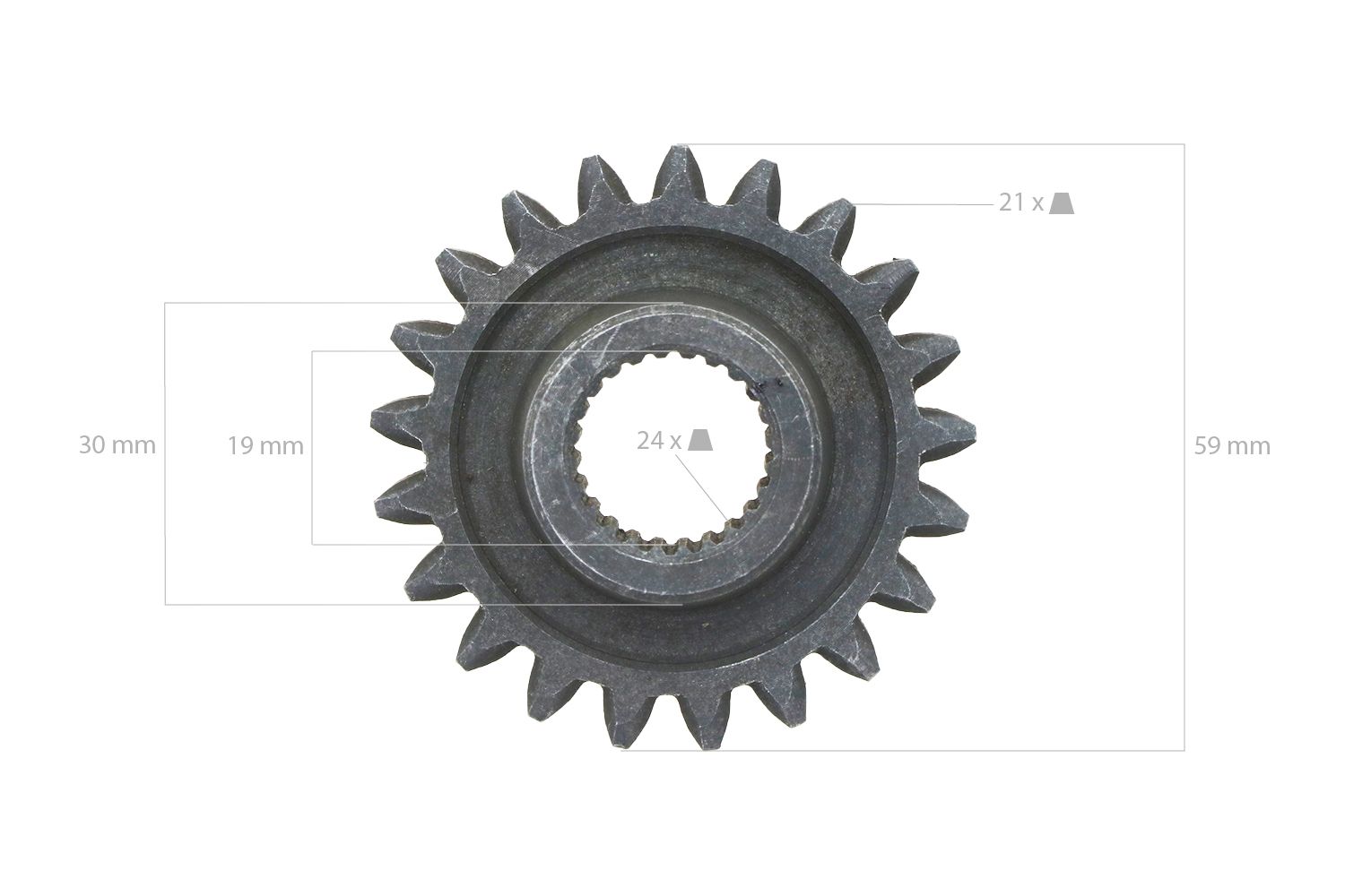 Pinon 21TX24T