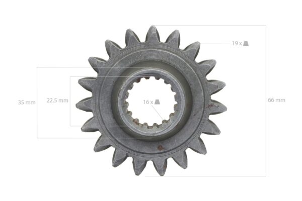 Pinon 19TX16T