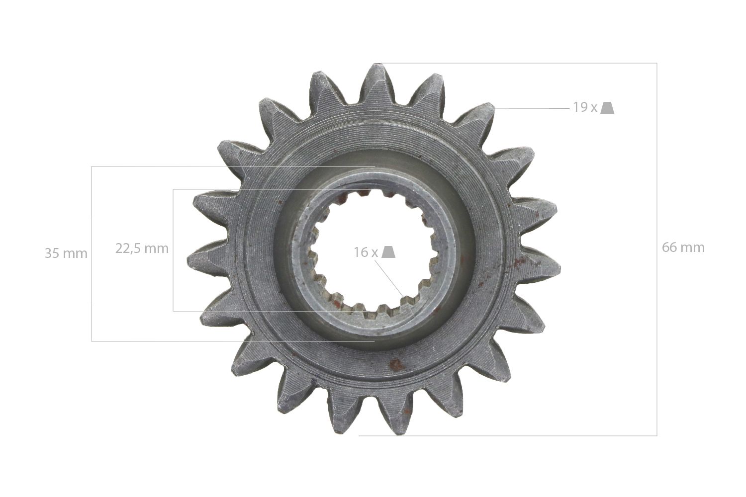 Pinon 19TX16T