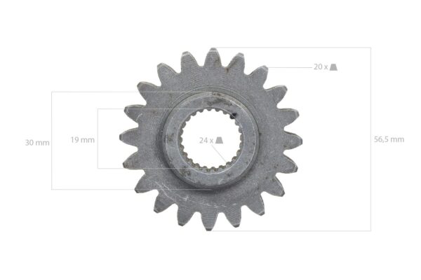 Pinon 20TX24T