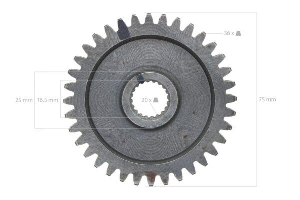 Pinon 36TX20T