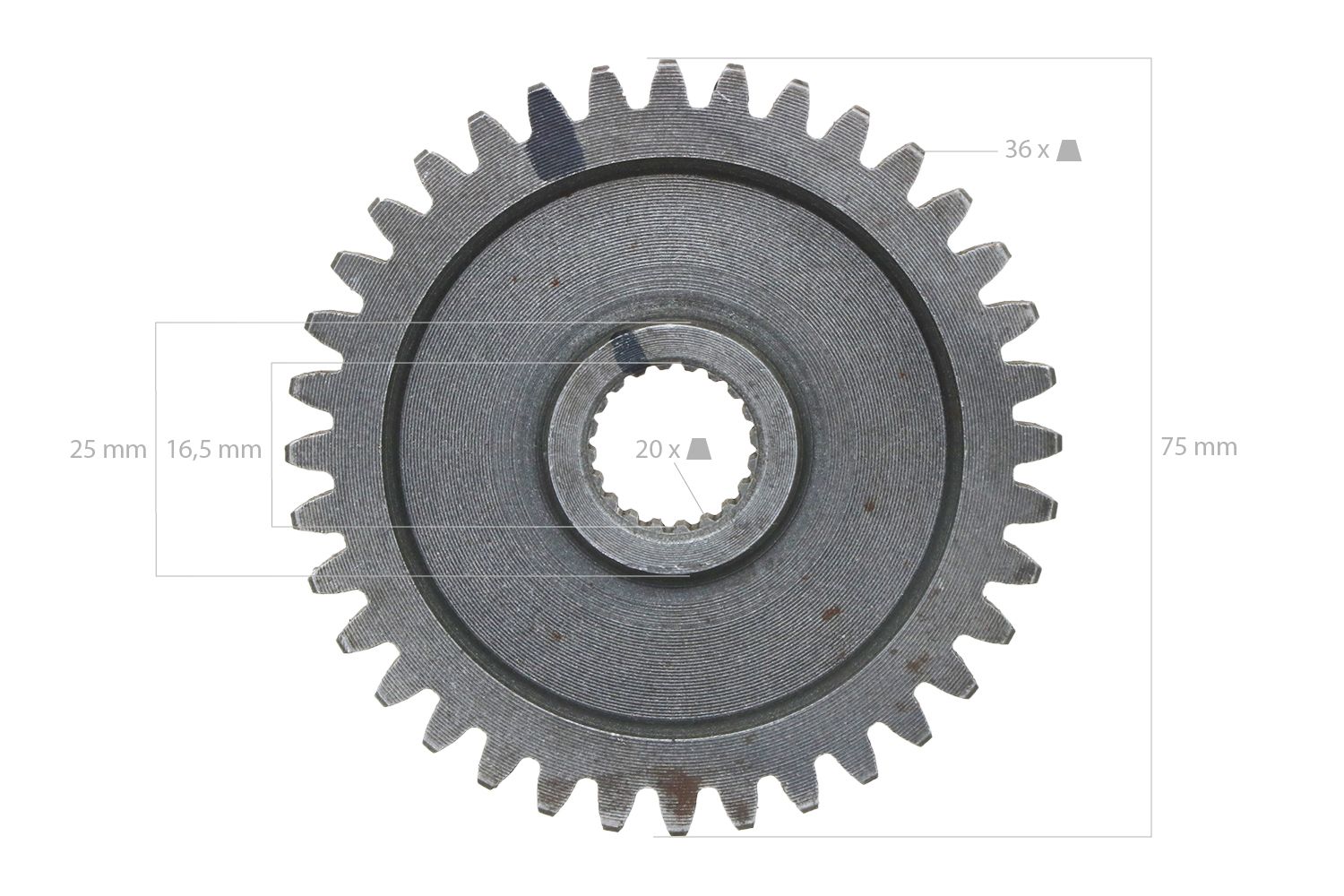 Pinon 36TX20T