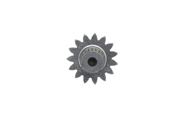 Pinon - Imagen 2