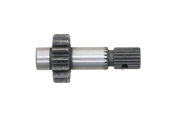 Pinon - Imagen 4