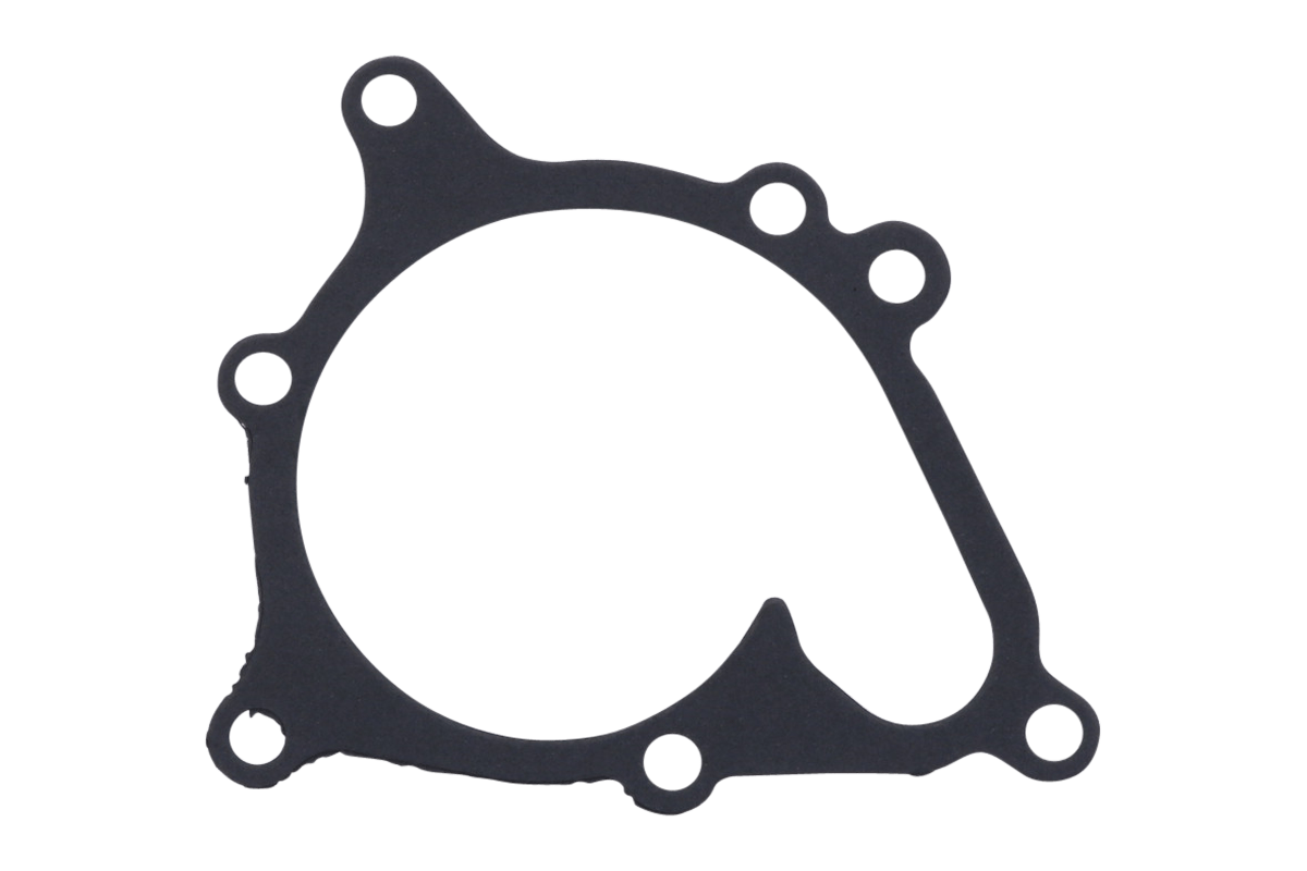 Junta de bomba de agua Iseki TA, TE, TL, TU, Massey Ferguson 1125, 1140, 1145, 1240, 1250, 1260, White FB31