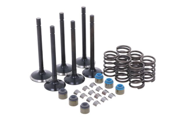 PVTK308, VTK308, HCPVTK308, BVTK559, VTK559, P120166350, 120166350, SBA120166350, P120176360, 120176360, SBA120176360, P198217470, 198217470, SBA198217470, P120226070, 120226070, SBA120226070