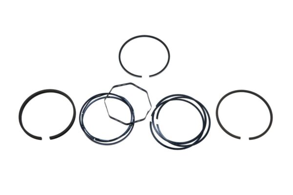 Conjunto de pistón y cilindro con segmentos de pistón Ford/New Holland, Perkins - Imagen 2