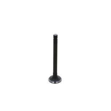 Valvula de escape Kubota D1301DI, D1302DI, D1402DI, V1702DI 