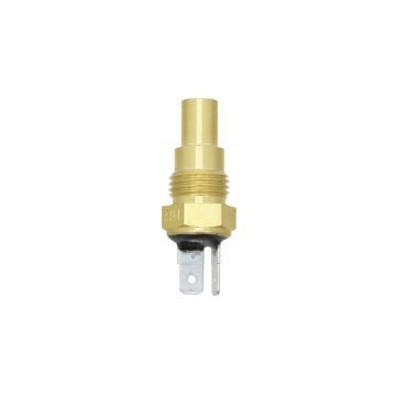 Iseki Interruptor Temperatura Agua TH18, TH20, TH22, TH24, TH26, Hunter, SF, TK