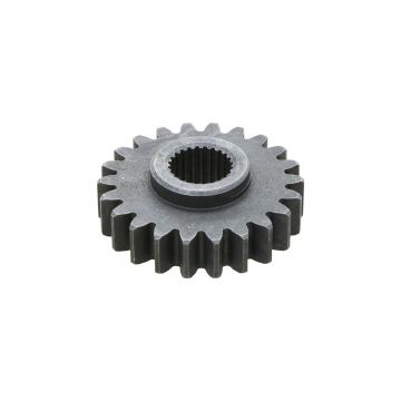 Pinon 22TX24T