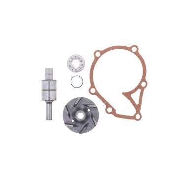 Kit de reparación de bomba de agua Iseki TE3210, TE4270, Bolens G212, G214, G272, 274, Isuzu 3AE1, E3AE1, 3AF1, E3AF1